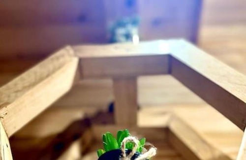 Kaul House | Snovika (The Organic Farm)