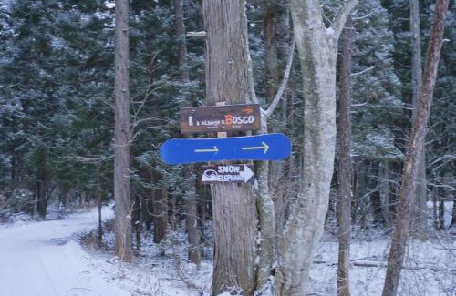 Iida Bed & Breakfast | Snow Elephant