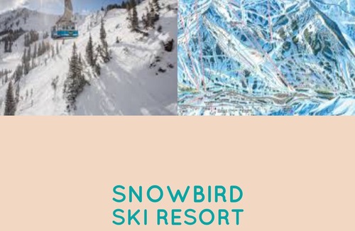 Salt Lake Mountain Resorts Condo | Snowbird Cliff Club Luxury Ski-in Condo Pinnacle Unit