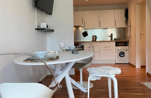 Leissigen Apartment | Snowflake
