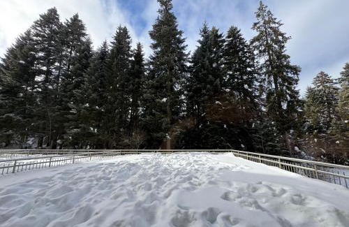 Borovets Apartment | SnowLine Flora