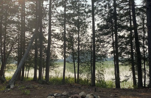 Isabella House | Snowshoe Cabin - Spacious Rustic Retreat w/Loft