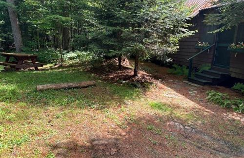 Lake Clear House | Snowshoe Cabin Retreat - Steps from Lake Clear & Rail Trail