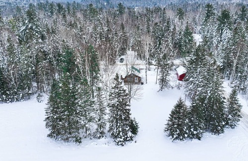 Stratton Cabin | Snug cabin in trees with fireplace & W/D near skiing, hiking, & lake - dogs OK