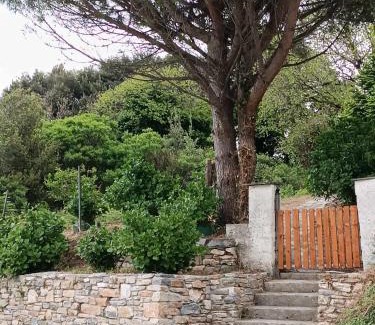 Papa Nero House | So Simple Guest House,Mouresi