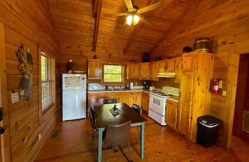 Townsend Cabin | “Soaring Eagle” Log Cabin * Awesome View