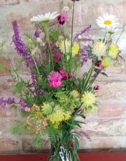 Sremski Karlovci House | Sobe Gajić Sremski Karlovci