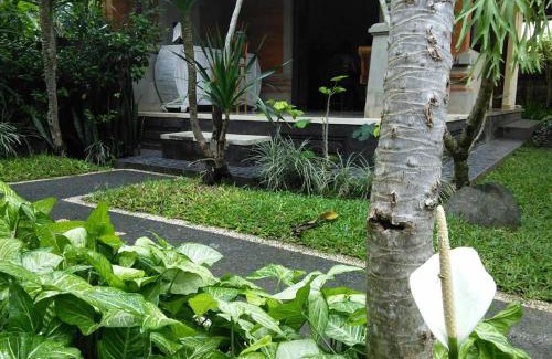 Pengosekan House | Soca Garden Guest house
