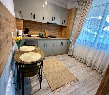 Tirgu Neamt Apartment | Sofia Residence Studio Cetate