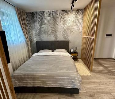 Tirgu Neamt Apartment | Sofia Residence Studio Cetate