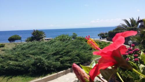 Stintino Apartment | Sogno sul mare