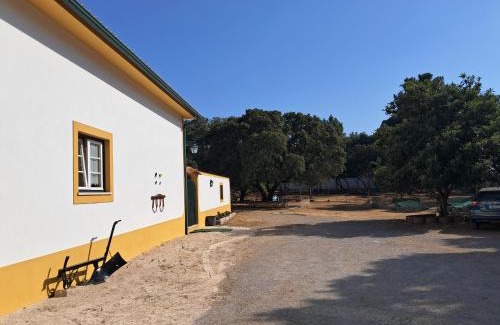 Fatima Apartment | Sol-Lua House apt