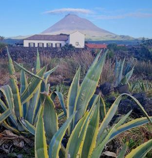 Madalena Cabin | Solar dos limas