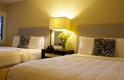 Downtown Hotel | Sole Inn and Suites
