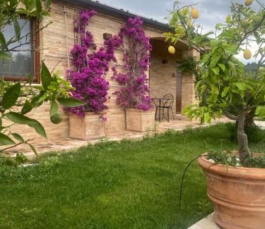 Moresco Villa | Sole