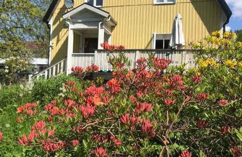 Alingsas Bed & Breakfast | Solhuset intill ån