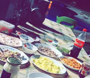 Giza Other | SolTan palace