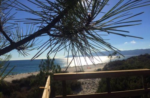 Carvalhal House | Soltroia Housefeelings