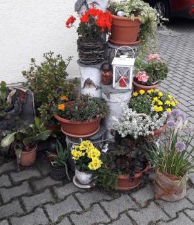 Hinterhermsdorf Apartment | Sommerfrische
