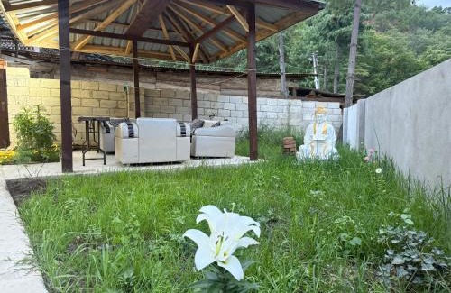 Paro Apartment | Sompal Serviced Apartment