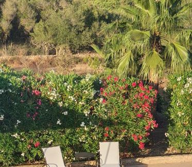 Campos Villa | SON FRED CAMPOS