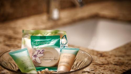 Orlando Hotel | Sonesta Essential Orlando