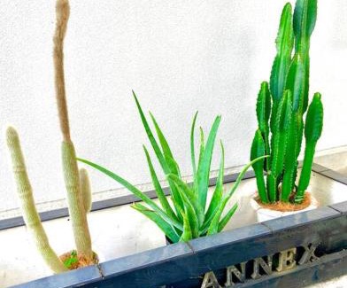 Dazaifu Apartment | sonic apartment annex202 sonic hotelの離 ４名様まで同一価格