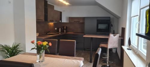 Rittersgrun Apartment | Sonnenblick Rittersgrün I