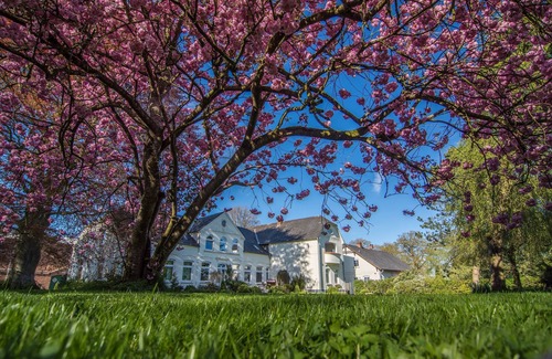 Mohrkirch Apartment | Sonnenscheinwohnung - Ferienhof Baustrup
