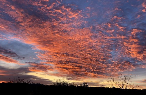 Elgin House | Sonoita, Elgin, Patagonia Wine Country Hideaway in Historic Southern Arizona