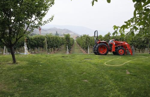 Okanagan-Similkameen Hotel | Sonora Desert Inn