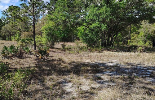 Edgar RV Rental | Soothing campground in Interlachen for a peaceful getaway