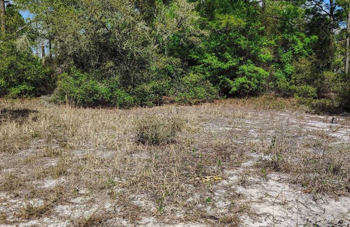 Edgar RV Rental | Soothing campground in Interlachen for a peaceful getaway