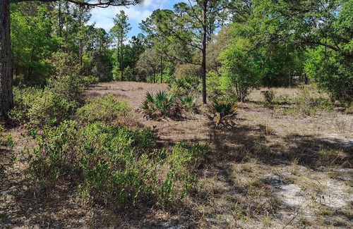 Edgar RV Rental | Soothing campground in Interlachen for a peaceful getaway