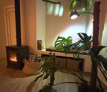Grandola House | Sopas e Descanso