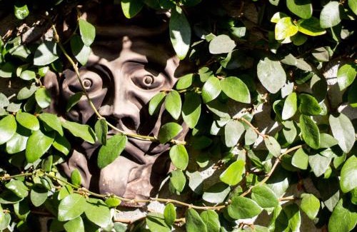 Seravezza Bed & Breakfast | sopra al FORTE