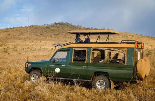 Murka Other | Soroi Leopards Lair