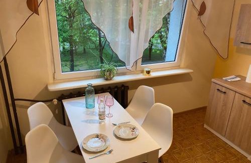 Sosnowiec Apartment | Sosnowiec Gwiezdna