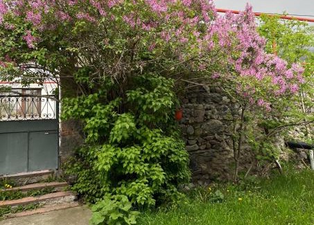 Gergeti House | Soso Burduli's Guesthouse