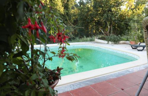 Viseu House | Sossego na cidade