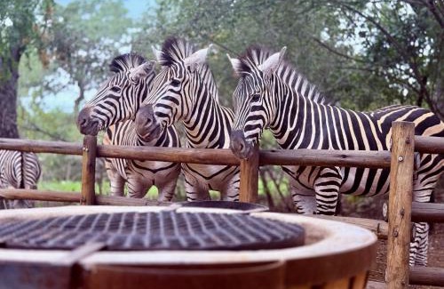 Marloth Park Villa | Sounds of Kruger Safari Villa