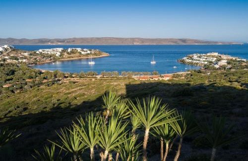 Lavreotiki Villa | Sounio Villa