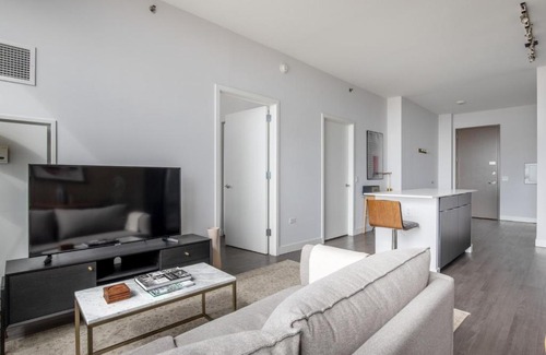 The Loop Apartment | South Loop 1br w gym game room nr top schools CHI-988