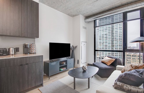 The Loop Apartment | South Loop | Rooftop With In & Out Parking