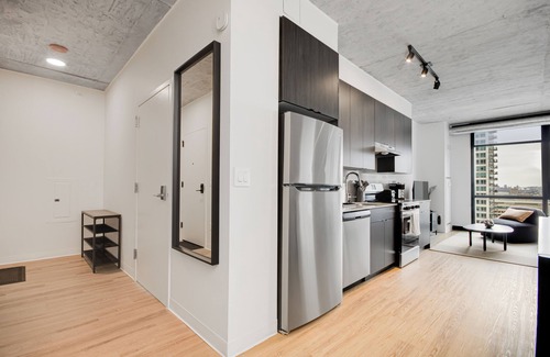 The Loop Apartment | South Loop | Rooftop With In & Out Parking