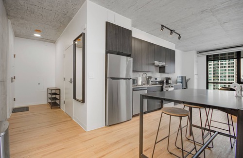 The Loop Apartment | South Loop | Rooftop With In & Out Parking