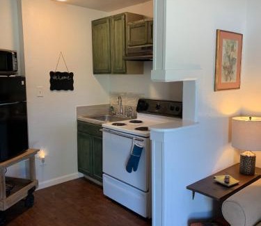 Waco Apartment | Southwest Agave Place