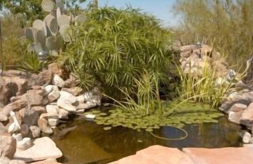 Tucson Apartment | Southwest Casita Oasis