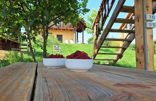 Sovjak House | Sovica holiday home & tree house