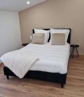 Bar-le-Duc Apartment | Spa des ducs loft 1